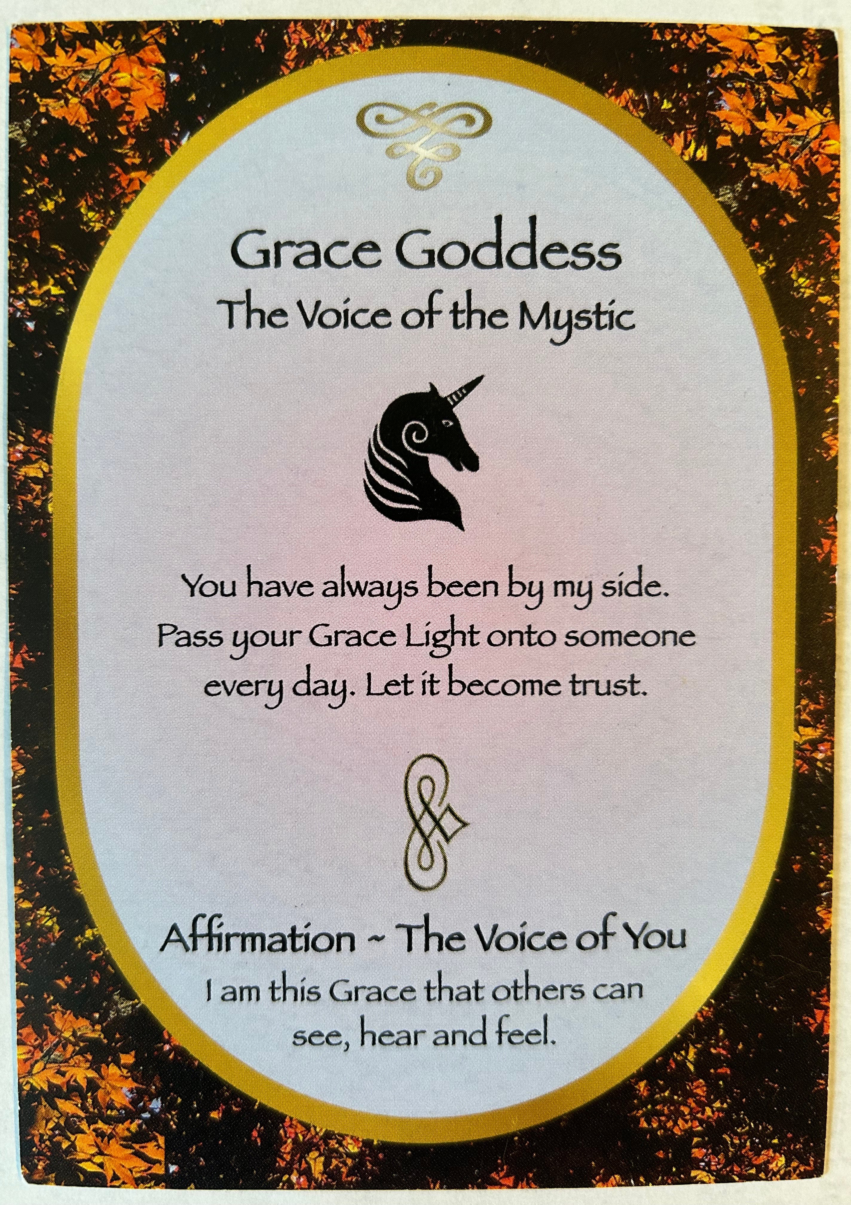 Gaia's Wisdom Oracle Deck and Divine Affirmations – Allegra Harrington