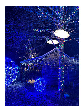 Clouds Celebrate the Night